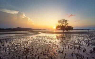Mersing Milky Way & Landscape Photography Trip