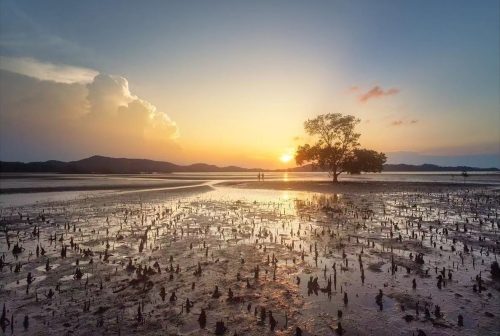 Mersing Milky Way & Landscape Photography Trip